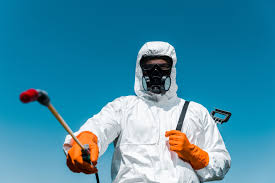 Trusted Hainesville, IL Pest Control Experts